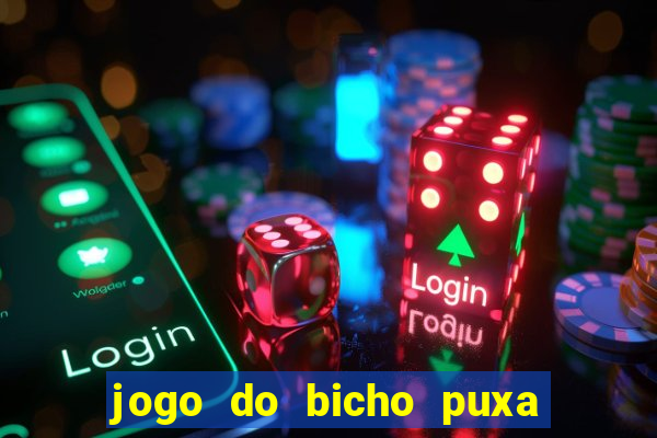 jogo do bicho puxa de dona maria